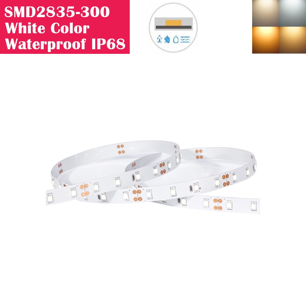 5 Meters SMD2835 (0.2W) Waterproof IP68 300LEDs Flexible LED Strip Lights